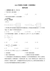 2024年河南省南阳市镇平县中考一模数学模拟试题（原卷版+解析版）