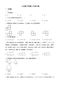 江苏省南通市崇川区启秀中学2023-2024学年九年级下学期期中数学试题3月（原卷版+解析版）