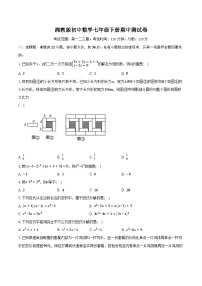 湘教版初中数学七年级下册期中测试卷（标准难度）（含详细答案解析）