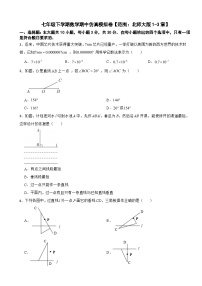 2024年广东七年级下学期数学期中仿真模拟卷(附参考答案）