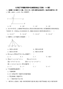 2024年广东省深圳市七年级下学期数学期中仿真模拟卷(附参考答案）