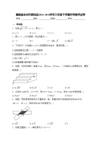 湖南省永州市新田县2023-2024学年八年级下学期月考数学试卷(含答案)