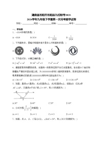 湖南省岳阳市岳阳县九校联考2023-2024学年九年级下学期第一次月考数学试卷(含答案)