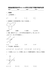 陕西省咸阳实验中学2023-2024学年九年级下学期月考数学试卷(含答案)