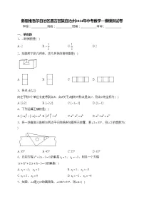 新疆维吾尔自治区昌吉回族自治州2024年中考数学一模模拟试卷(含答案)