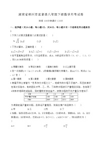 湖南省郴州市宜章县2023-2024学年八年级下学期4月月考数学试题