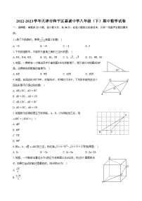 2022-2023学年天津市和平区嘉诚中学八年级（下）期中数学试卷（含解析）