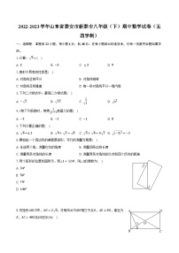 2022-2023学年山东省泰安市新泰市八年级（下）期中数学试卷（五四学制）（含解析）