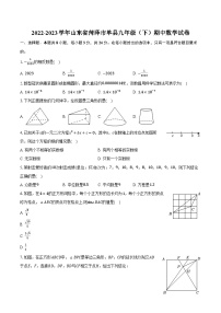 2022-2023学年山东省菏泽市单县九年级（下）期中数学试卷（含解析）