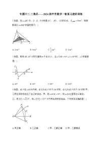 专题十三 三角形——2024届中考数学一轮复习进阶训练