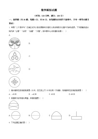 2024年湖北省武汉市第十一中学中考一模数学试题（原卷版+解析版）