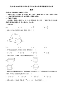 贵州省黔南布依族苗族自治州惠水县惠水县第四中学2023-2024学年九年级下学期4月月考数学试题（原卷版+解析版）