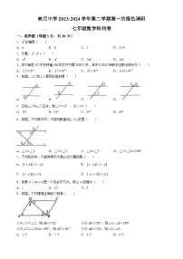 广东省佛山市南海区桂城街道映月中学2023-2024学年七年级下学期月考数学试题(无答案)