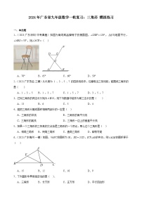 广东省2024年九年级中考数学一轮复习：三角形 模拟练习(含解析)