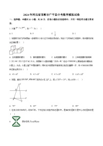 2024年河北省邯郸市广平县中考一模数学试题（原卷版+解析版）