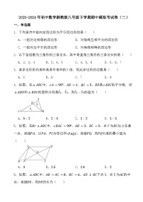 2023-2024年初中数学湘教版八年级下学期期中模拟考试卷（二）（答案）