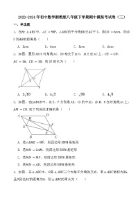 2023-2024年初中数学湘教版八年级下学期期中模拟考试卷（三）（答案）