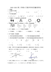 江苏省无锡市江阴市南闸实验学校2023-2024学年九年级下学期3月质量调研数学试题