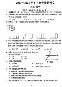 2023～2024河南省实验中学九年级二模考试数学试卷