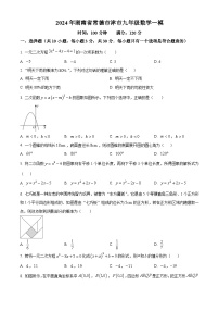 2024年湖南省常德市津市市中考一模数学试题（原卷版+解析版）