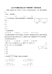2024年安徽省名校之约中考数学第一次联考试卷（含解析）