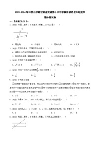 甘肃省武威市凉州区武威十六中教研联片2023-2024学年七年级下学期4月期中数学试题