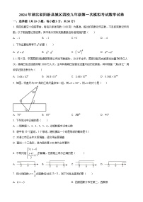 2024年湖北省阳新县城区四校中考一模数学试题（原卷版+解析版）