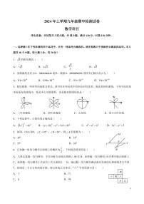 2023-2024-2雅礼九下期中考试数学试卷