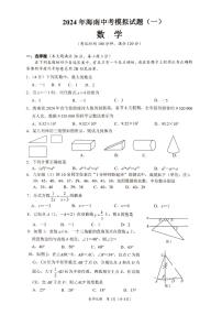 2024年海南省文昌市八校联考中考模拟考试数学试题