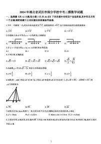 2024年湖北省武汉市部分学校中考二模数学试题