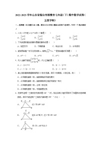 2022-2023学年山东省烟台市栖霞市七年级（下）期中数学试卷（五四学制）