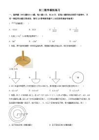 2024年江苏省盐城市亭湖区九年级数学中考模拟预测题（原卷版+解析版）