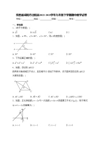 陕西省咸阳市泾阳县2022-2023学年九年级下学期期中数学试卷(含答案)