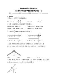 陕西省咸阳市实验中学2023-2024学年八年级下学期月考数学试卷（一）(含答案)