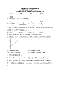 陕西省咸阳市实验中学2023-2024学年七年级下学期月考数学试卷（一）(含答案)