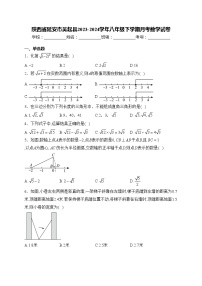 陕西省延安市吴起县2023-2024学年八年级下学期月考数学试卷(含答案)