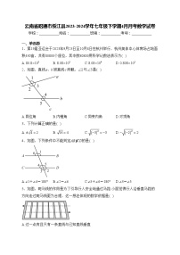 云南省昭通市绥江县2023-2024学年七年级下学期4月月考数学试卷(含答案)