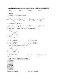 云南省昭通市昭阳区2022-2023学年七年级下学期4月月考数学试卷(含答案)