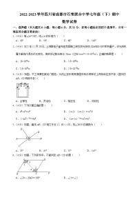 四川省成都市成都市石室联合中学2022-2023学年七年级下学期期中数学试题