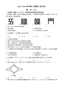 江苏省苏州市苏州工业园区苏州工业园区星海实验初级中学2023-2024学年八年级下学期期中数学试题(无答案)