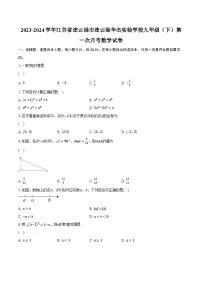 2023-2024学年江苏省连云港市连云港华杰实验学校九年级（下）第一次月考数学试卷（含解析）