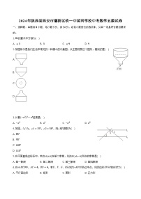 2024年陕西省西安市灞桥区铁一中滨河学校中考数学五模试卷（含解析）