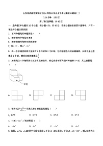 山东省济南市莱芜区2024年初中学业水平考试模拟冲刺卷(二)九年级数学（无答案）