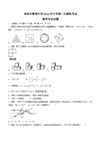 2024年广东省珠海市紫荆中学中考一模数学试题(无答案)