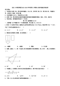 北京二中教育集团2023-2024学年下学期九年级数学保温训练试卷（无答案）