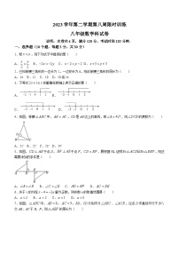 广东省佛山市顺德区2023-2024学年八年级下学期期中数学试题(无答案)