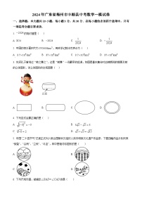 2024年广东省梅州市丰顺县中考一模数学试题（原卷版+解析版）