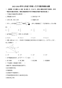 江苏省南通市崇川区启秀中学2023-2024学年七年级下学期3月月考数学试题（原卷版+解析版）