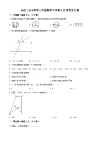 江苏省泰州市泰兴市实验初级中学2023-2024学年七年级下学期3月月考数学试题（原卷版+解析版）