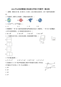 2024年山东省聊城市莘县部分学校中考数学一模试卷（含解析）